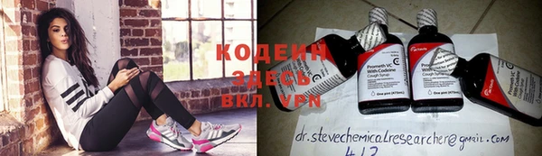 стаф Каменногорск