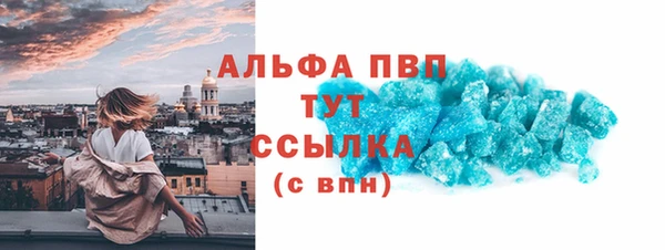 стаф Каменногорск