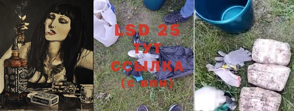 прущие грибы Каменск-Шахтинский