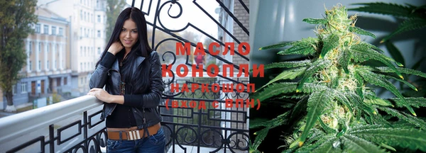 прущие грибы Каменск-Шахтинский