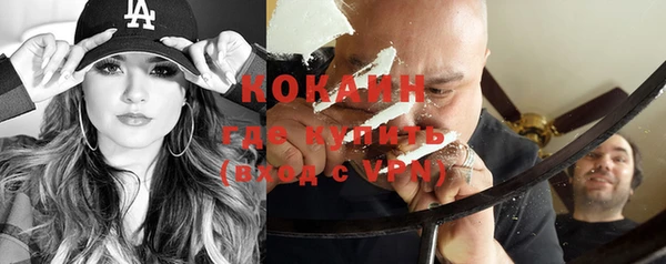 стаф Каменногорск