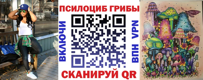 Купить  Хасавюрт  Псилоцибиновые грибы мицелий 